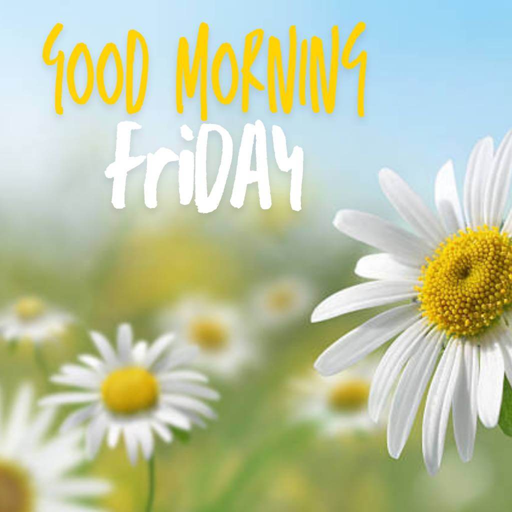 Nature and Scenic Views