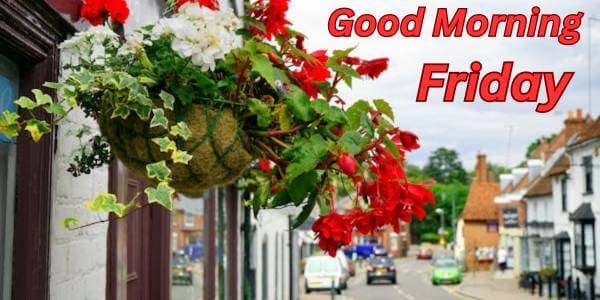 Good Morning Friday Images